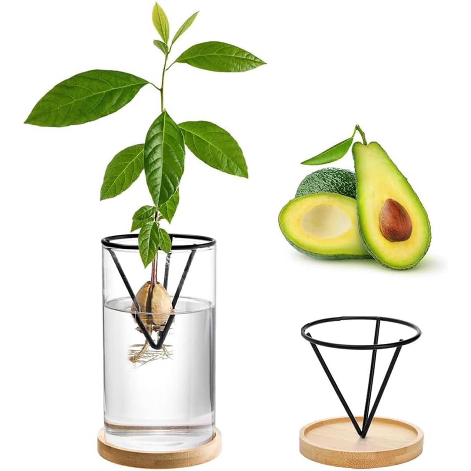 1 ชุด Avocado Tree ปลูกชุด Hyd - Crystal Growing Kit บทวิจารณ์และราคา