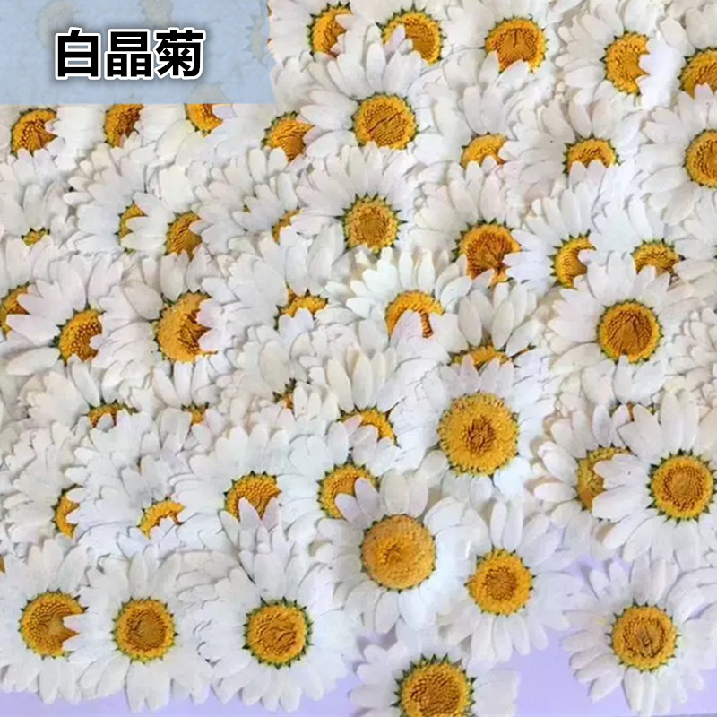 ดอกเดซี่คริสตัลสีขาวธรรมชาติ 1 - Crystal Growing Kit บทวิจารณ์และราคา