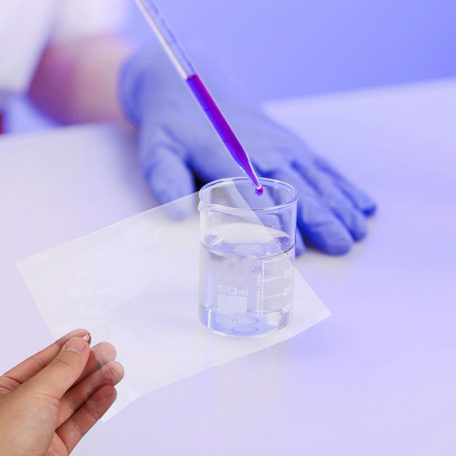 แผ่นฟิล์มเซลโลเฟนกึ่งซึมผ่านได - Science Experiment บทวิจารณ์และราคา